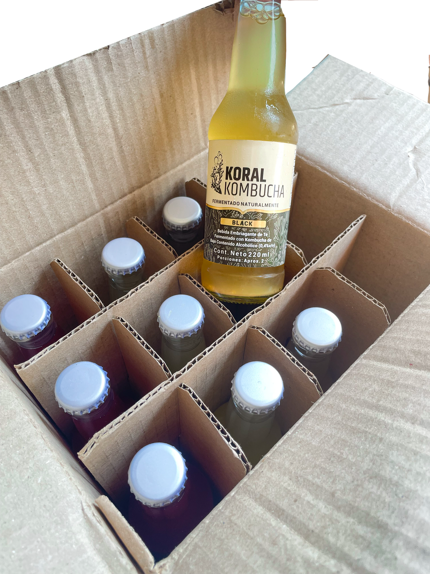 Caja de Kombucha Black 220ml