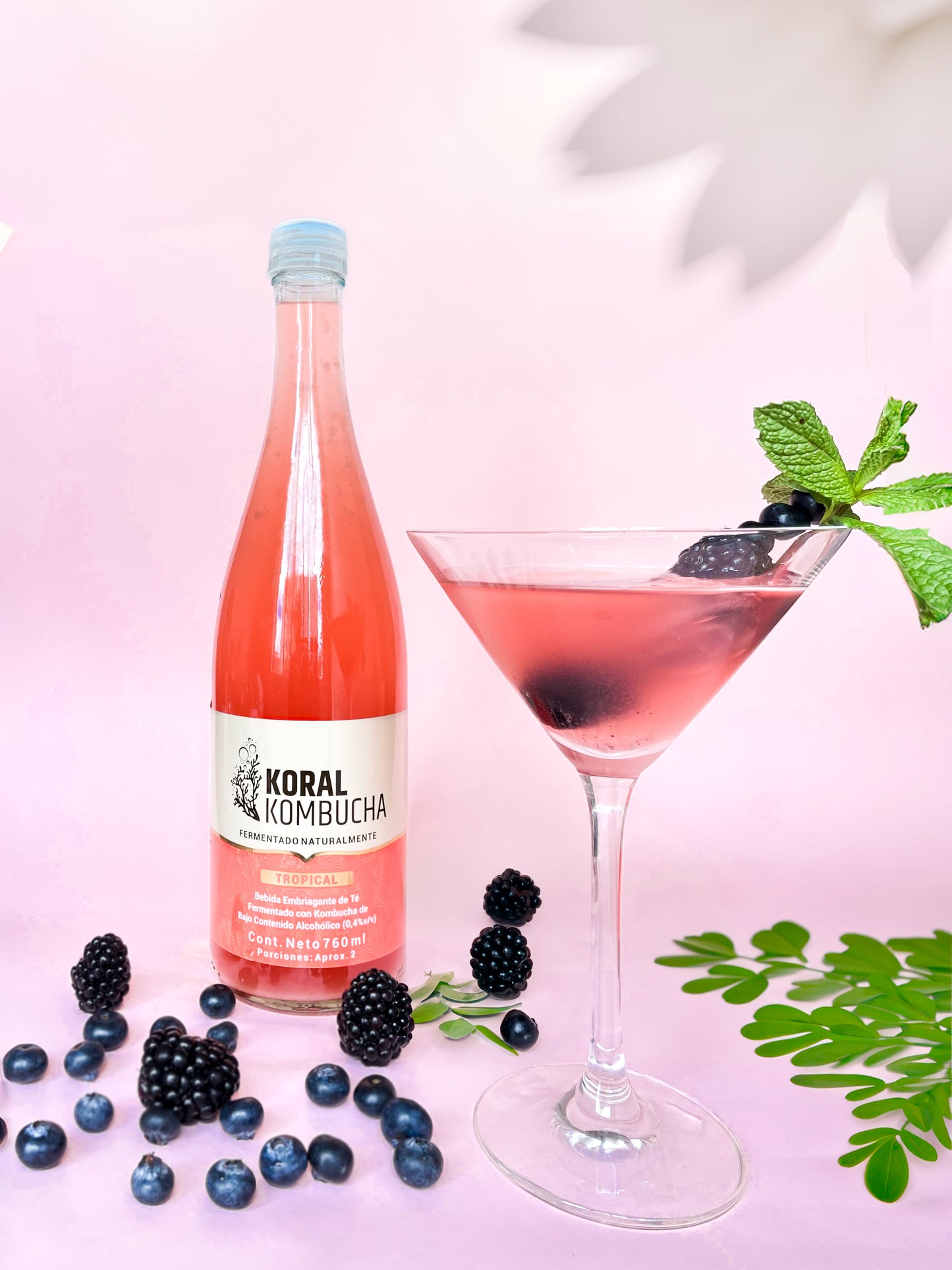 Caja de kombucha Tropical 760ml