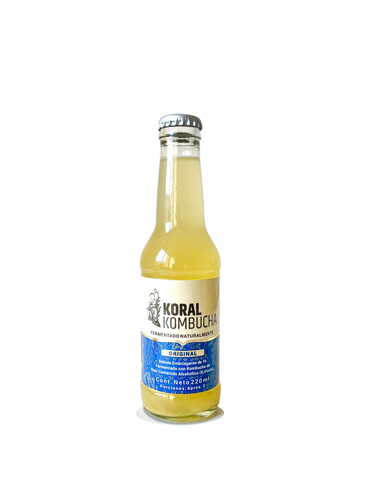 Caja de Kombucha Original 220 ml