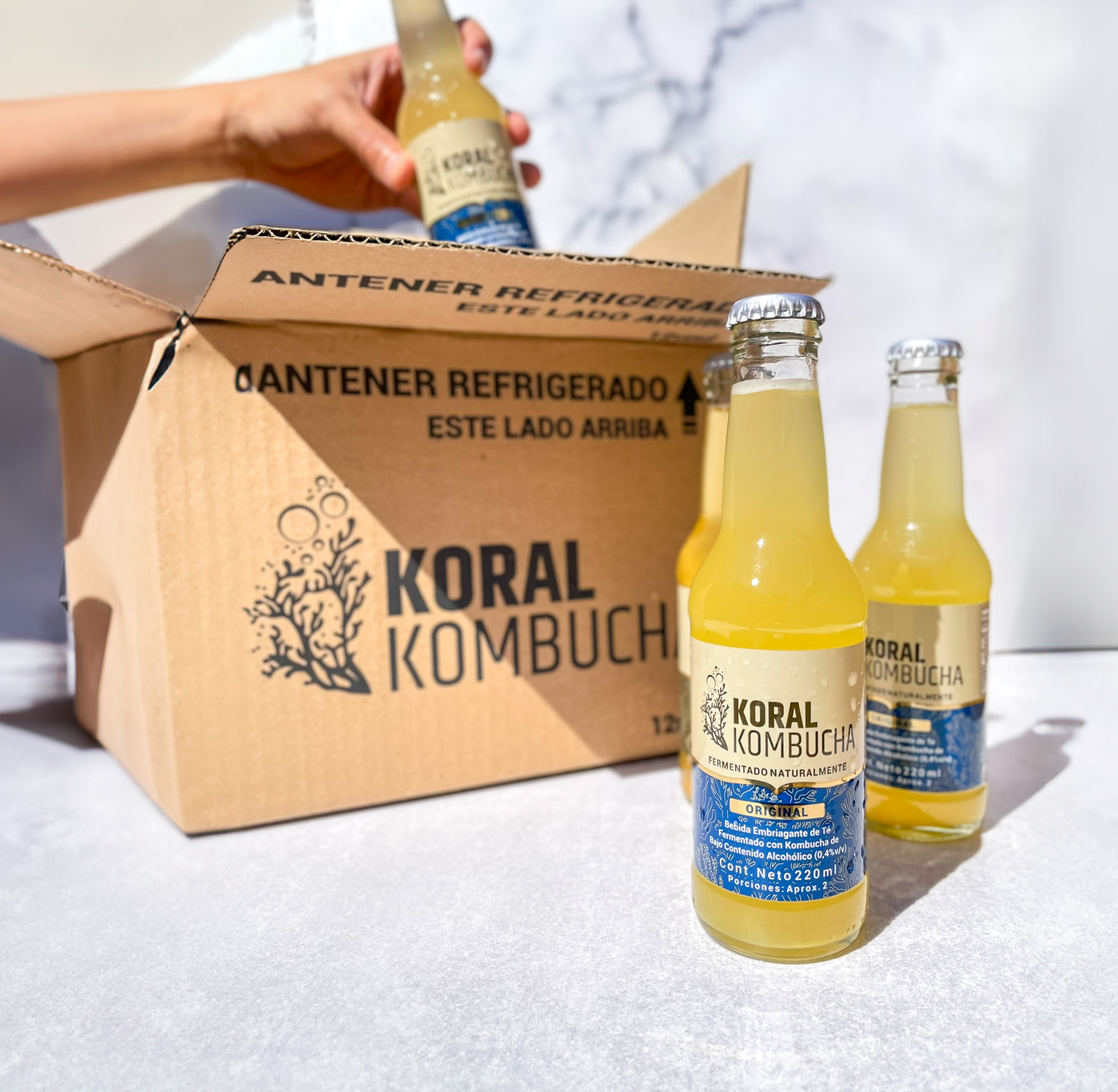 Caja de Kombucha Original 220 ml