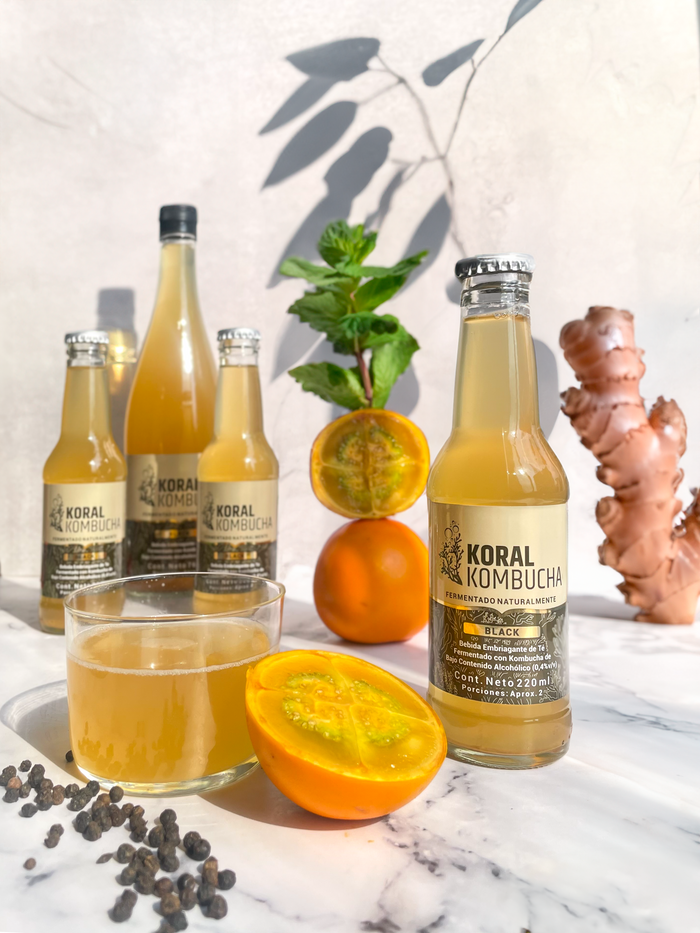 Koral Kombucha Black