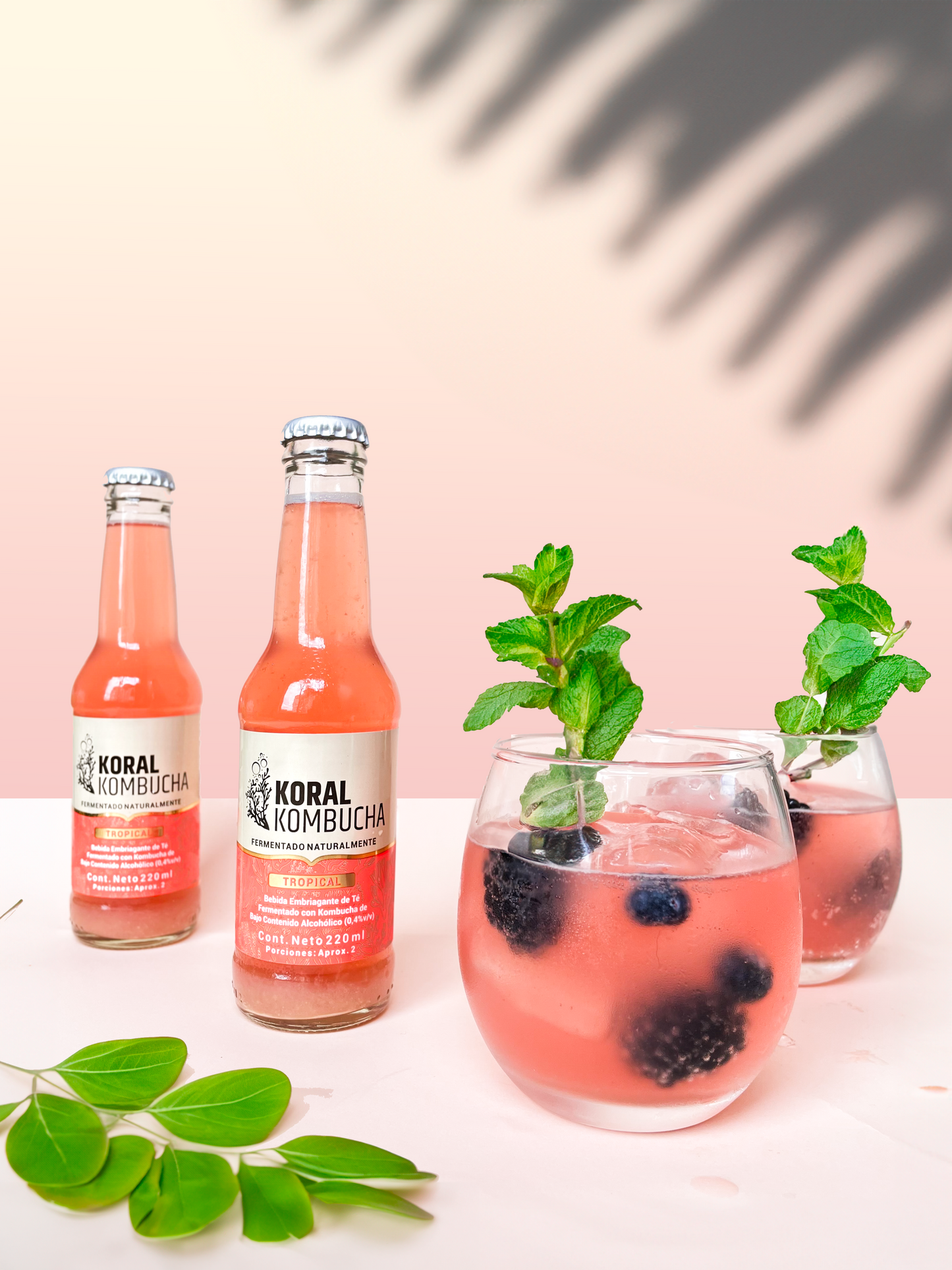 Caja de Kombucha Tropical 220 ml