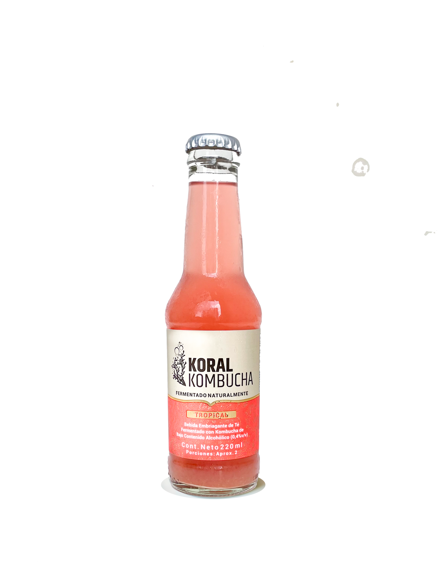 Caja de Kombucha Tropical 220 ml