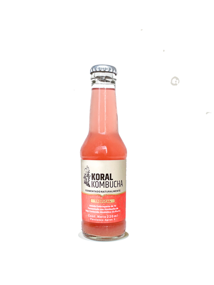 Caja de Kombucha Tropical 220 ml