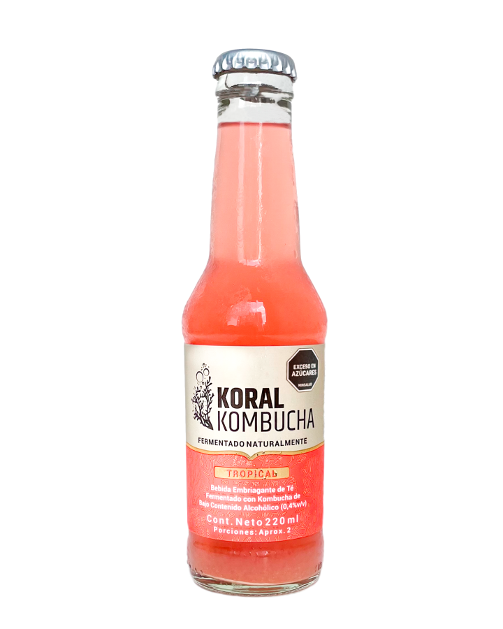 Caja de Kombucha Tropical 220 ml