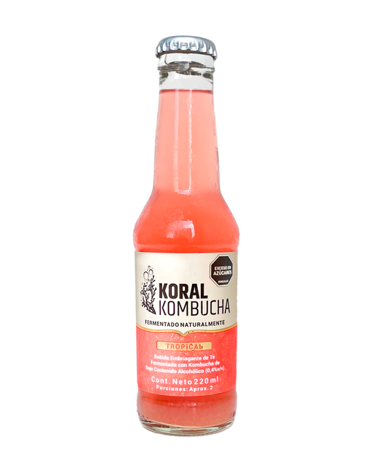 Caja de Kombucha Tropical 220 ml