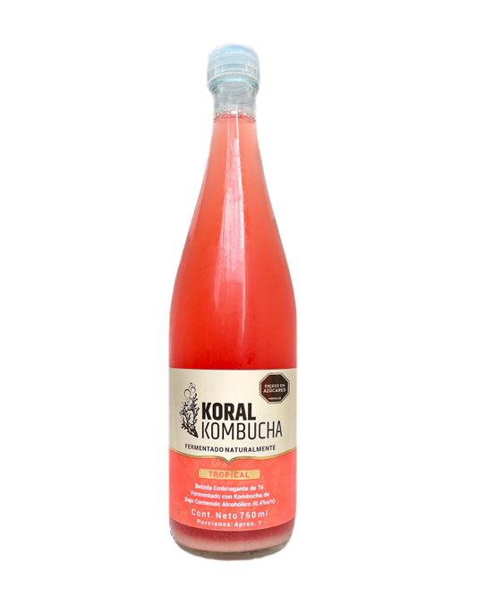 Caja de kombucha Tropical 760ml