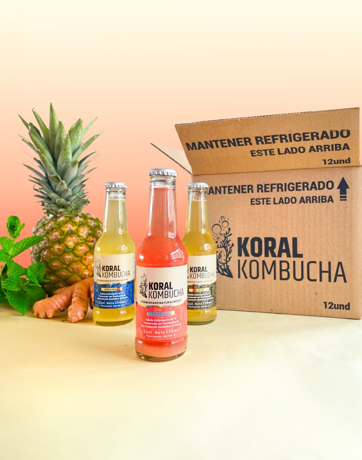 Caja Arrecife de KORAL